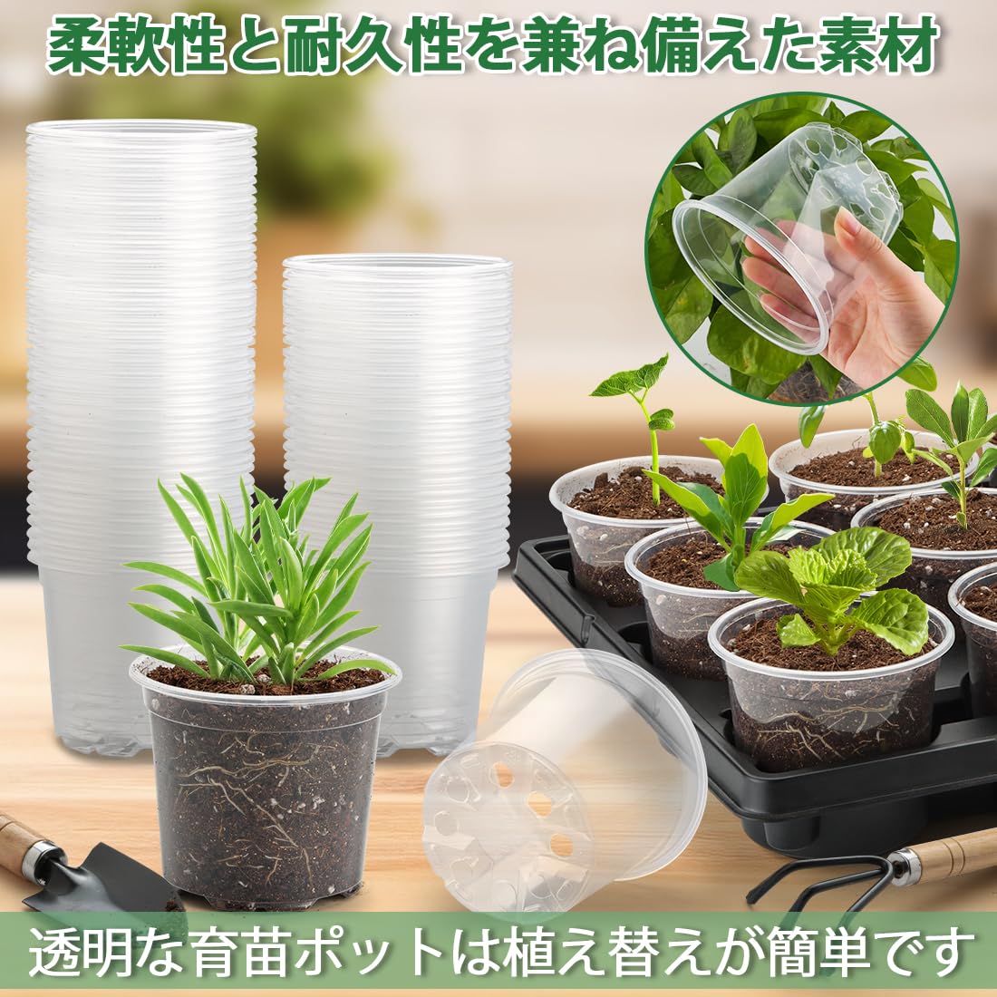 Amazon.co.jp: 透明育苗ポット10cm 60個+収納トレー5枚セット、底穴